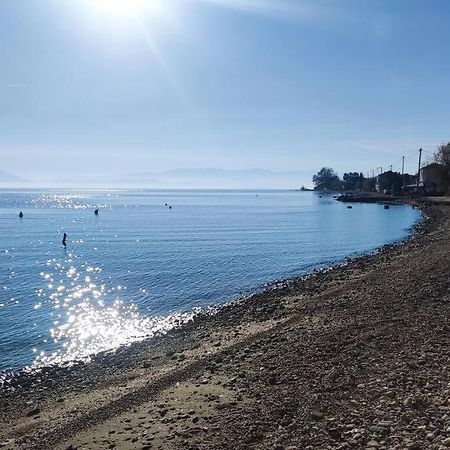 Malakion Rustic Studio Seaside View מראה חיצוני תמונה